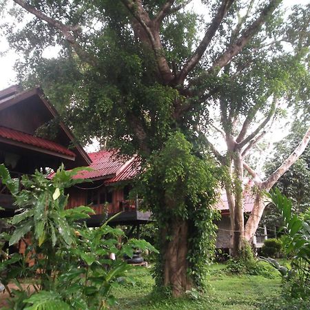 Hotel Bamboo House Khao Sok National Park Exterior foto
