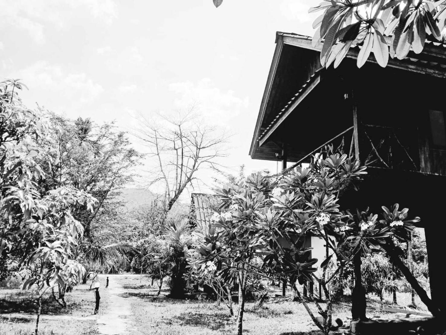 Hotel Bamboo House Khao Sok National Park Exterior foto
