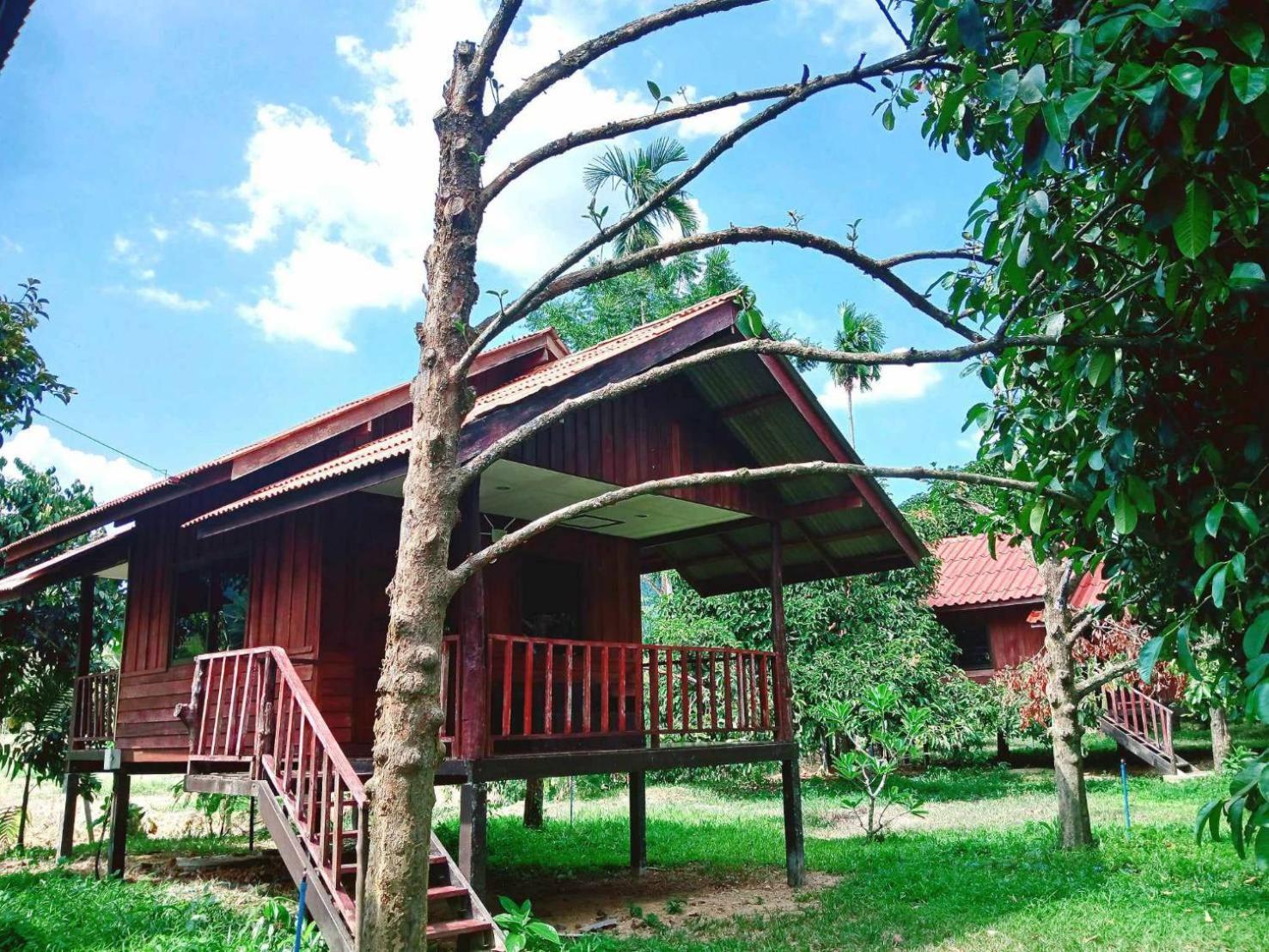 Hotel Bamboo House Khao Sok National Park Zimmer foto