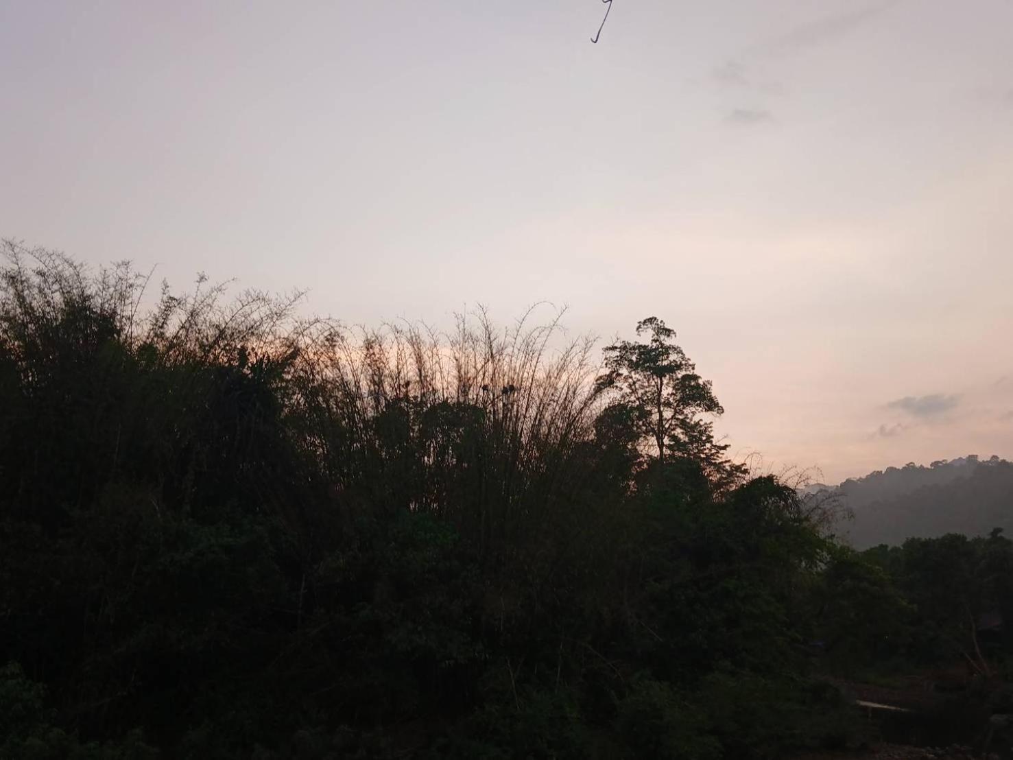 Hotel Bamboo House Khao Sok National Park Exterior foto