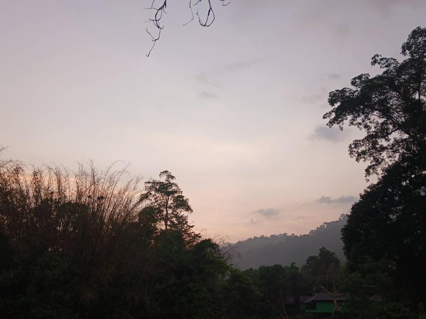 Hotel Bamboo House Khao Sok National Park Exterior foto