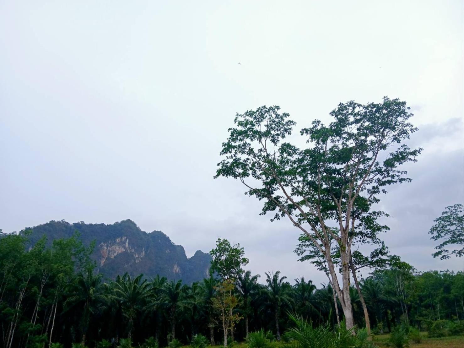 Hotel Bamboo House Khao Sok National Park Exterior foto