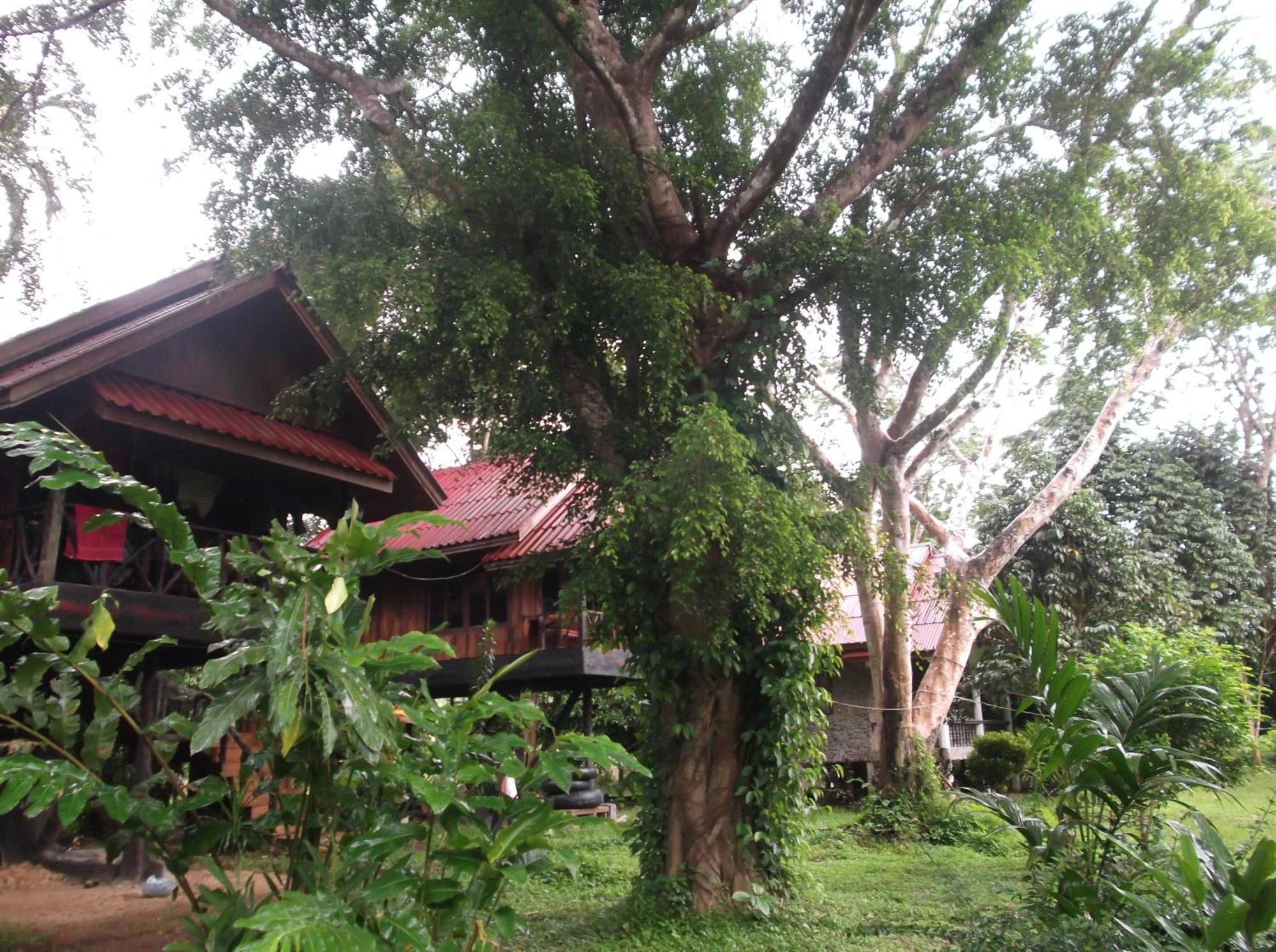 Hotel Bamboo House Khao Sok National Park Exterior foto